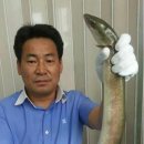 장원마트 이미지