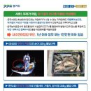 어업 쿠키뉴스