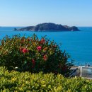 오동나무공원 이미지