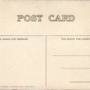 STAR Medical(스타메디칼) | 1908 - Borgess Hospital, Kalamazoo. MI (Star Paper)