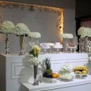 더파티스타 이미지