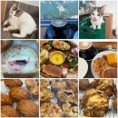 주차73 | 대구 근교 맛집 청도 브런치 카페 뷰좋은 원리73 새참세트 추천