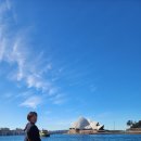 오페라하우스 | (호주 시드니🇦🇺) 오페라하우스 후기 및 오페라하우스바 감튀 맛집 | 건축가 제작 역사, 보더콜리 경비견