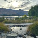 뉴월드마트 | 뉴질랜드 남섬 여행, 와나카 호수 산책하고 마트 뉴월드에서 장보기