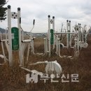 대대마을회관 이미지