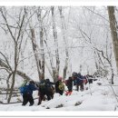 한일맛집 이미지