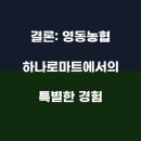 영동하나로마트 티스토리