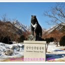 표산공원 이미지