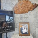 [진해 용원 횟집] 생대구탕 맛집 김해횟집 추천합니다