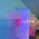 하일할머니 이미지