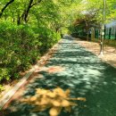 식골공원 화장실 이미지