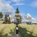 호국의 불 | 지금은 팜파스 TIME 의령 친수공원 실시간 방문 후기
