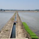 신송2리 이미지