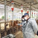 도비축산 이미지