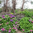 안성리-6 이미지