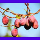 조용한아침 이미지