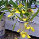 송정하우스 이미지