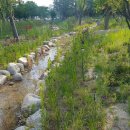 한국폴리텍 IV 대학 홍성캠퍼스 이미지