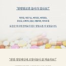 반려동물보감연구소 이미지