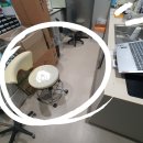 크린피부과 이미지