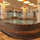 오색로뎀나무아래 이미지