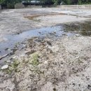 여주-0459 이미지