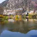 영산 연지못 이미지