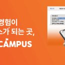 포인사이트