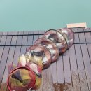 장자골낚시터 이미지