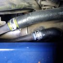 양산 반달곰 카센타 이미지