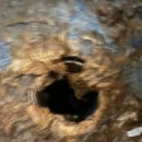 스피드크리닝 이미지