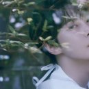 도영타운