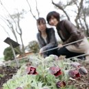 서사분교 이미지