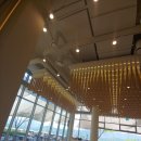 새한새마을금고 이미지