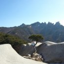 미래파출부 네이버블로그