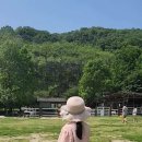 여주목장 이미지