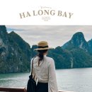 엠버서더 관광호텔 | 베트남 하롱베이 크루즈 가격 엠버서더 당일투어