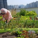 중리할머니경로당 이미지