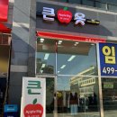애플빅큰옷