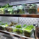 국가대패 이미지