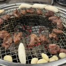 유명갈매기 | [분당 야탑 유명갈매기] 평일 퇴근 후 따끈한 방문 후기