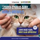늘사랑양한방동물병원 | 여수 늘사랑양한방동물병원 CVA