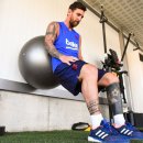 비원 트레이닝 이미지