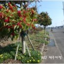 제주 올레길 4코스 이미지