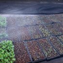 <b>외출하는</b> <b>날</b>~맘이 더 바빠요^ ^