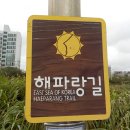 강변주유소 | 울산 걷기 좋은 길 울산 해파랑길 7코스 3시간 50분 완주