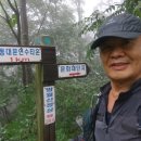 망월산 정상 이미지