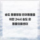 24시 송도 온 동물의료센터 이미지