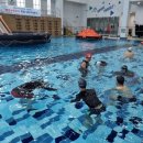 수영초등 이미지