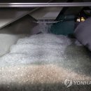 씨케이닭
